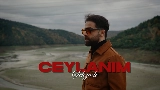 Videominiatuur Ceylanım