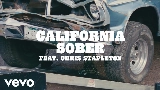Videominiatuur California Sober