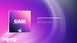 Videominiatuur CASI